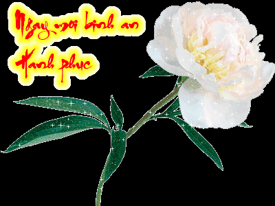 image.gif
