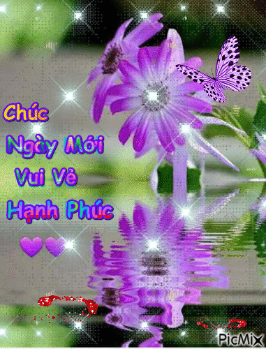 image.gif