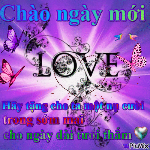 image.gif