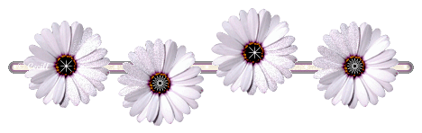 image.gif