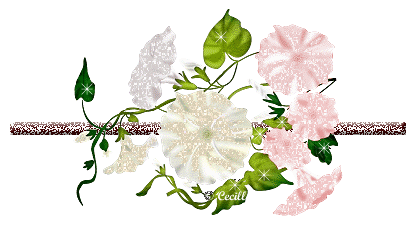 image.gif