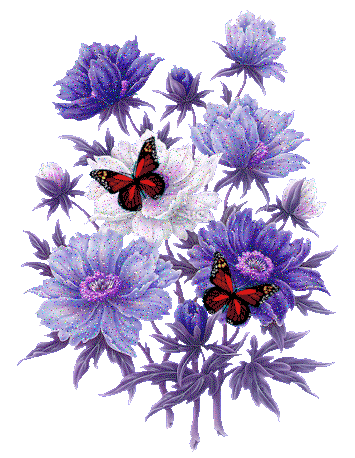 image.gif