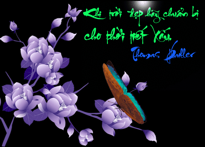 image.gif