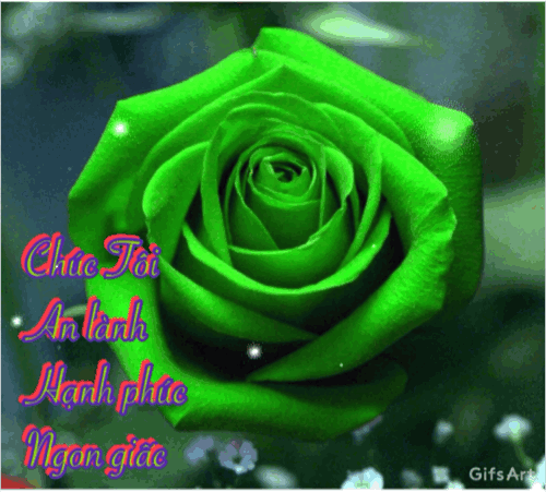 image.gif