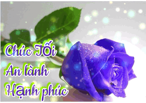 image.gif