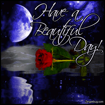 image.gif