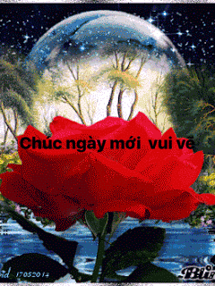 image.gif