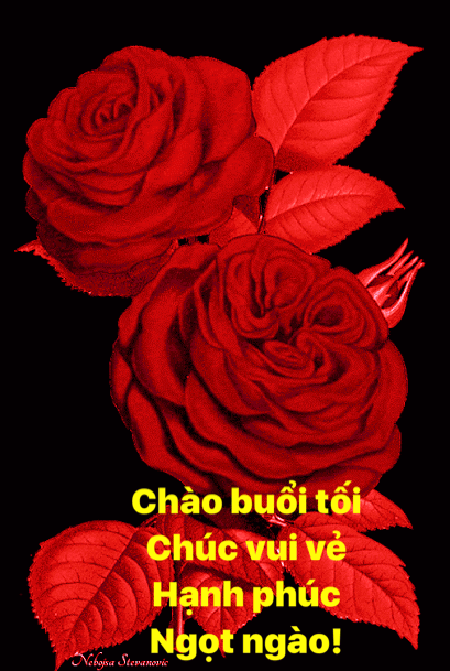 image.gif