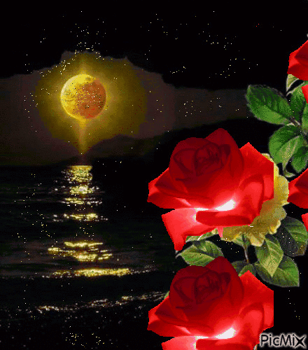 image.gif