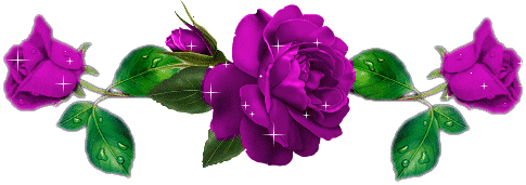 image.gif