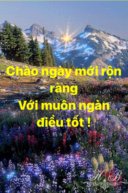 image.gif