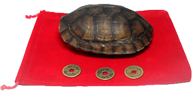 image.gif