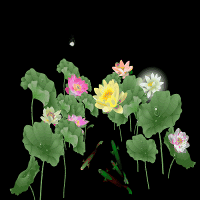 image.gif
