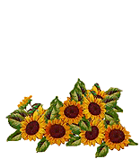 image.gif