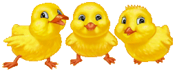 image.gif