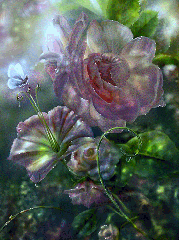 image.gif