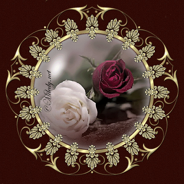 image.gif