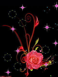 image.gif