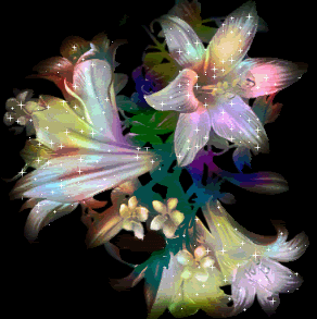 image.gif