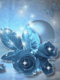 image.gif
