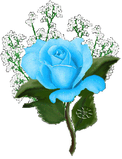 image.gif