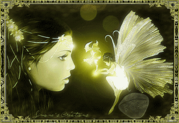image.gif