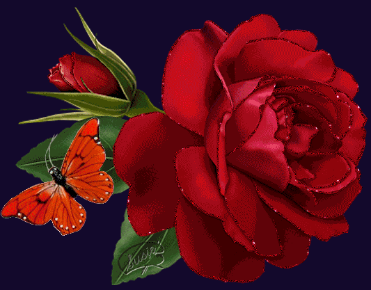 image.gif