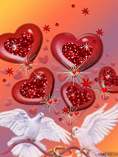 image.gif