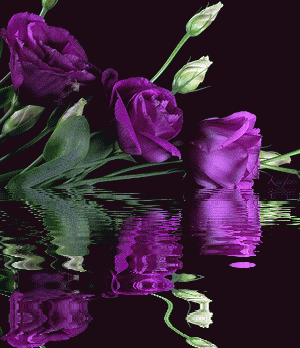 image.gif