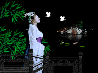 image.gif