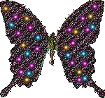 image.gif