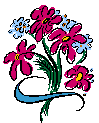 image.gif