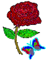 image.gif