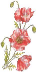 image.gif