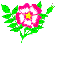 image.gif