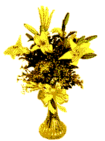 image.gif