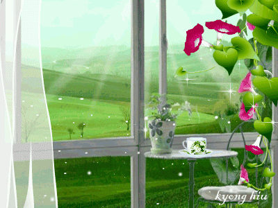 image.gif