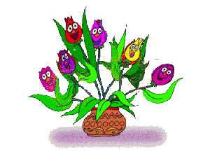 image.gif