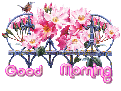 image.gif