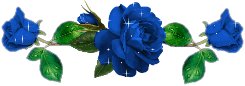 image.gif