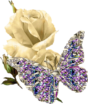 image.gif
