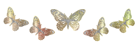 image.gif