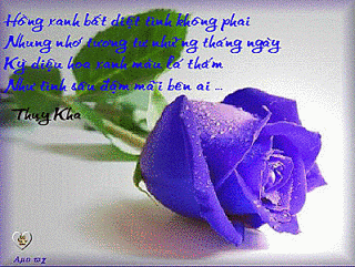image.gif