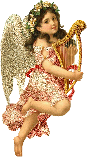 image.gif