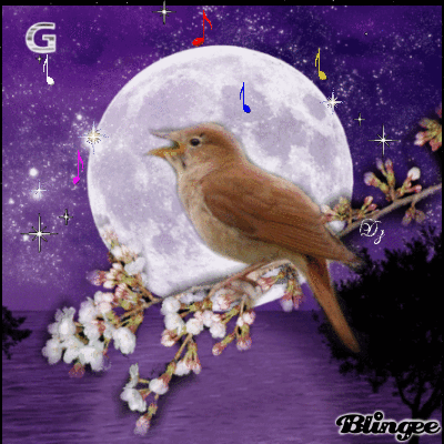 image.gif
