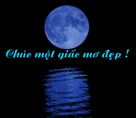 image.gif