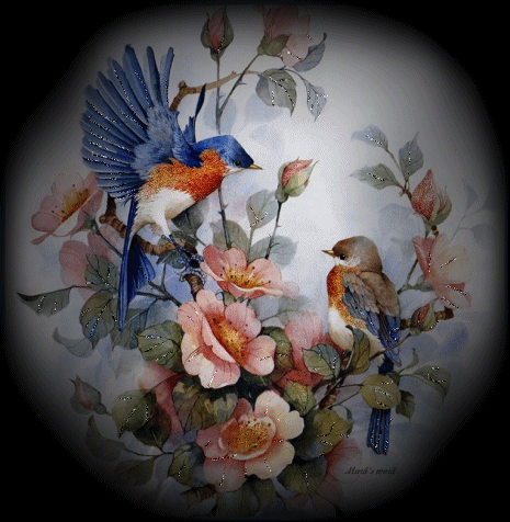 image.gif