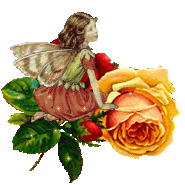 image.gif
