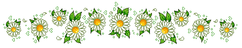 image.gif