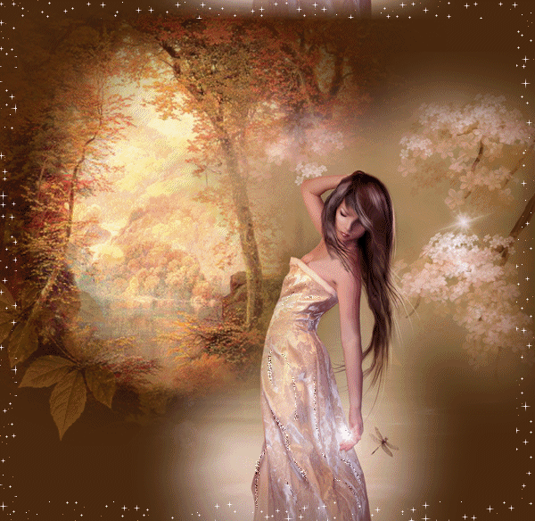 image.gif
